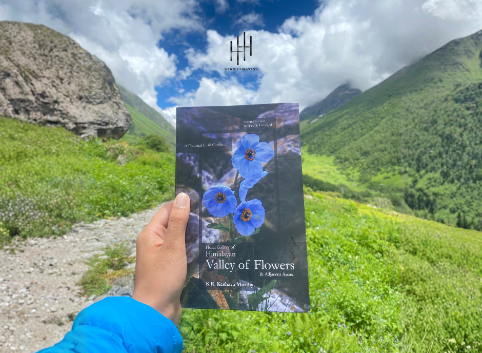 Valley Of Flowers is among the best summer-monsoon treks in India