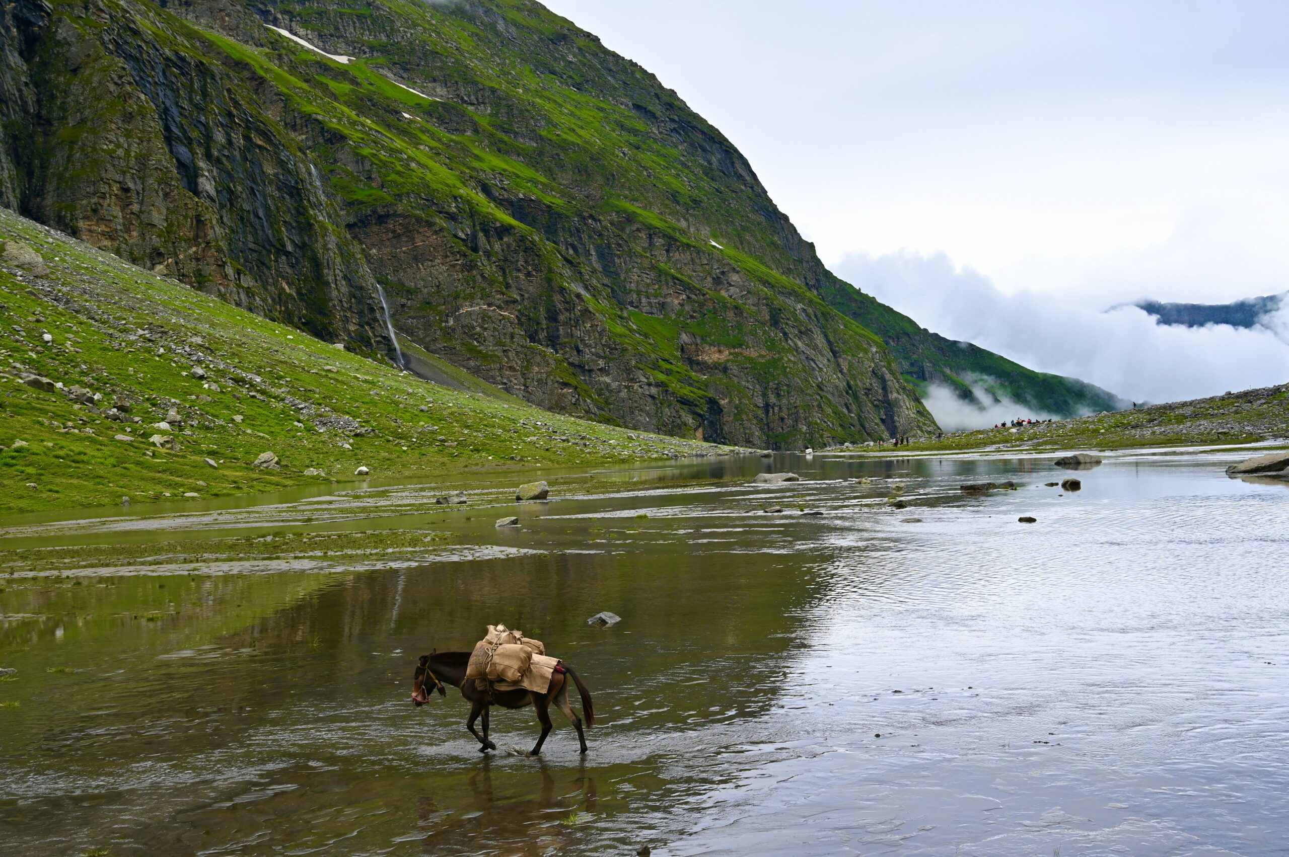 Horse Crossing a River