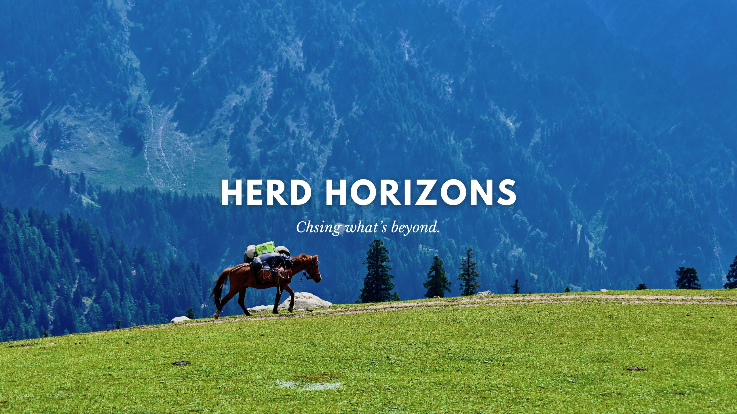 Best Travel Company in India - Herd Horizons